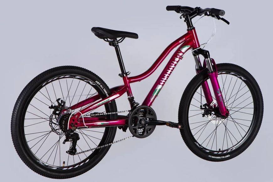 Велосипед ST 24" Discovery KELLY DD FR рама-11" малиновий 2025 OPS-DIS-24-364 фото