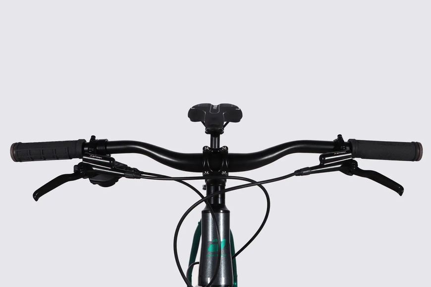 Велосипед AL 29" Formula ZEPHYR 1.0 HDD рама-21" темно-сріблястий з зеленим 2026 OPS-FR-29-453 фото